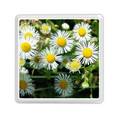 White Summer Flowers Oil Painting Art Memory Card Reader (square)  by picsaspassion