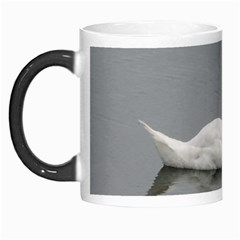 Swimming White Swan Morph Mugs