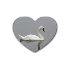 Swimming White Swan Heart Coaster (4 Pack)  by picsaspassion