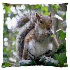 Gray Squirrel Eating Sycamore Seed Large Flano Cushion Case (two Sides) by GiftsbyNature