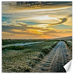 Jericoacoara National Park Dunes Road Canvas 16  X 16   by dflcprints