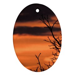 Tree Branches And Sunset Ornament (oval)  by picsaspassion