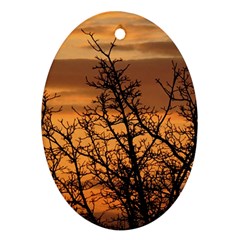 Colorful Sunset Ornament (oval)  by picsaspassion