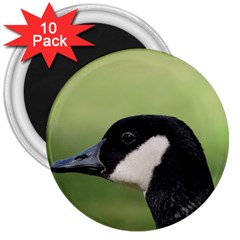 Goose Bird In Nature 3  Magnets (10 Pack)  by picsaspassion