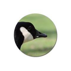 Goose, Black And White Magnet 3  (round) by picsaspassion