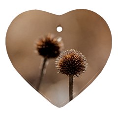 Withered Globe Thistle In Autumn Macro Ornament (heart)  by wsfcow