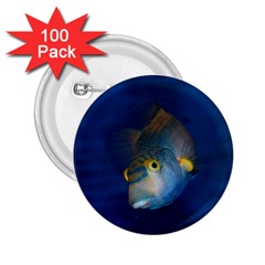 Fish Blue Animal Water Nature 2 25  Buttons (100 Pack)  by Amaryn4rt