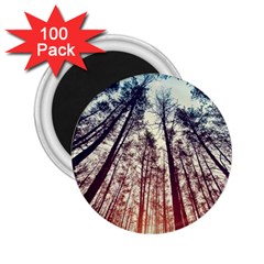 Up View Forest 2 25  Magnets (100 Pack)  by Brittlevirginclothing