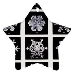 Snowflakes Exemplifies Emergence In A Physical System Star Ornament (two Sides) by Amaryn4rt