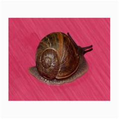 Snail Pink Background Small Glasses Cloth (2-side)