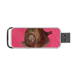 Snail Pink Background Portable Usb Flash (one Side)