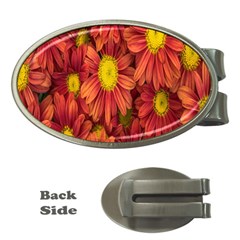 Flowers Nature Plants Autumn Affix Money Clips (oval)  by Nexatart