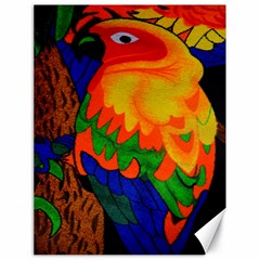 Parakeet Colorful Bird Animal Canvas 18  X 24  