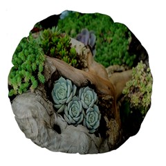 Plant Succulent Plants Flower Wood Large 18  Premium Flano Round Cushions