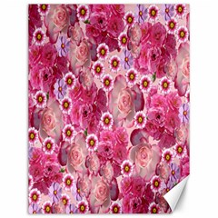 Roses Flowers Rose Blooms Nature Canvas 12  X 16  