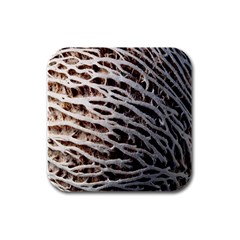 Seed Worn Lines Close Macro Rubber Square Coaster (4 Pack)  by Nexatart