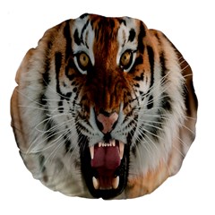Tiger  Large 18  Premium Flano Round Cushions