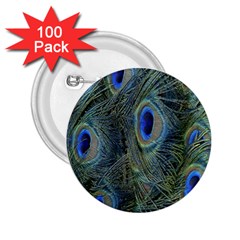 Peacock Feathers Blue Bird Nature 2 25  Buttons (100 Pack)  by Amaryn4rt