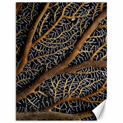 Trees Forests Pattern Canvas 18  X 24  