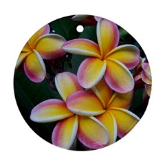 Premier Mix Flower Ornament (round) by alohaA