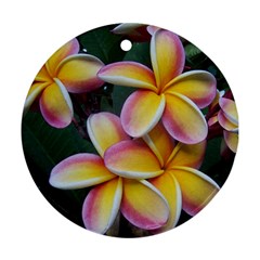 Premier Mix Flower Round Ornament (two Sides) by alohaA