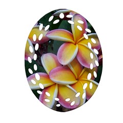 Premier Mix Flower Oval Filigree Ornament (two Sides) by alohaA