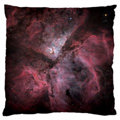 Carina Peach 4553 Large Cushion Case (two Sides) by SpaceShop