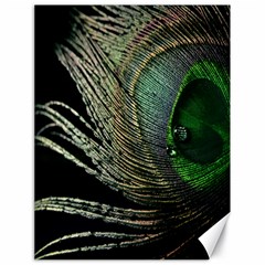 Feather Peacock Drops Green Canvas 18  X 24   by Simbadda