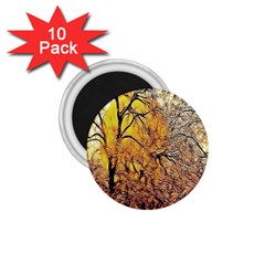 Summer Sun Set Fractal Forest Background 1 75  Magnets (10 Pack)  by Amaryn4rt