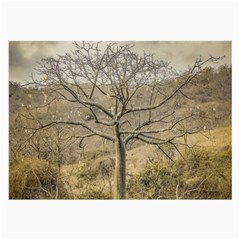 Ceiba Tree At Dry Forest Guayas District   Ecuador Large Glasses Cloth (2-side) by dflcprints