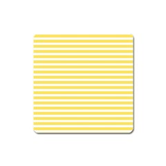 Horizontal Stripes Yellow Square Magnet by Mariart