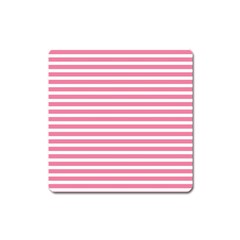 Horizontal Stripes Light Pink Square Magnet by Mariart