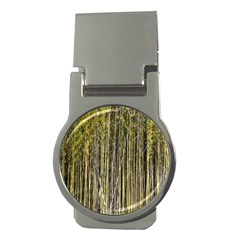 Bamboo Trees Background Money Clips (round)  by Nexatart