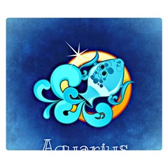 Zodiac Aquarius Double Sided Flano Blanket (small)  by Mariart