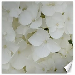 Hydrangea Flowers Blossom White Floral Photography Elegant Bridal Chic  Canvas 16  X 16   by yoursparklingshop