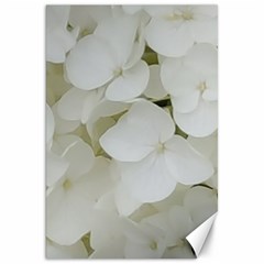 Hydrangea Flowers Blossom White Floral Photography Elegant Bridal Chic  Canvas 20  X 30   by yoursparklingshop