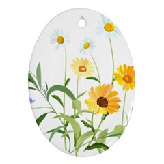 Flowers Flower Of The Field Oval Ornament (two Sides)