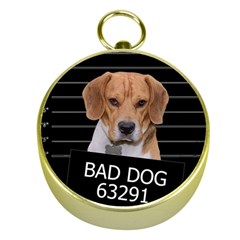 Bad Dog Gold Compasses by Valentinaart