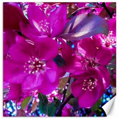 Pretty In Fuchsia Canvas 12  X 12   by dawnsiegler