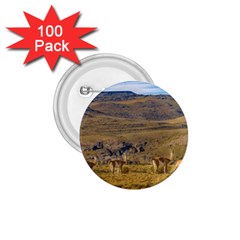 Group Of Vicunas At Patagonian Landscape, Argentina 1 75  Buttons (100 Pack)  by dflcprints