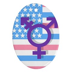 Transgender Flag Ornament (oval) by Valentinaart