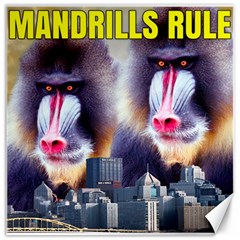 Mandrills Rule Canvas 12  X 12   by RakeClag