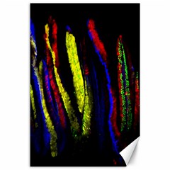 Multicolor Lineage Tracing Confetti Elegantly Illustrates Strength Combining Molecular Genetics Micr Canvas 24  X 36  by Mariart