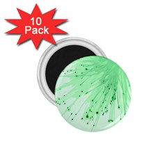 Big Bang 1 75  Magnets (10 Pack) 