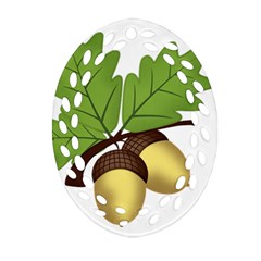 Acorn Hazelnuts Nature Forest Oval Filigree Ornament (two Sides) by Nexatart