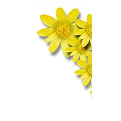 Flowers Spring Yellow Spring Onion Memory Card Reader by Nexatart