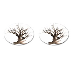 Tree Isolated Dead Plant Weathered Cufflinks (oval)