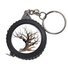 Tree Isolated Dead Plant Weathered Measuring Tapes