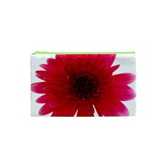 Flower Isolated Transparent Blossom Cosmetic Bag (xs) by Nexatart