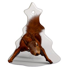 Squirrel Wild Animal Animal World Ornament (christmas Tree) 